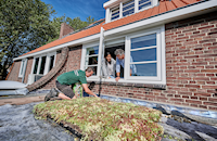 Afbeelding sedum op dak planten