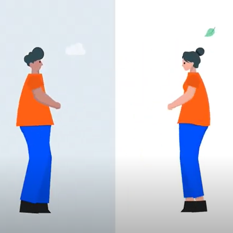 Afbeelding video scheiden