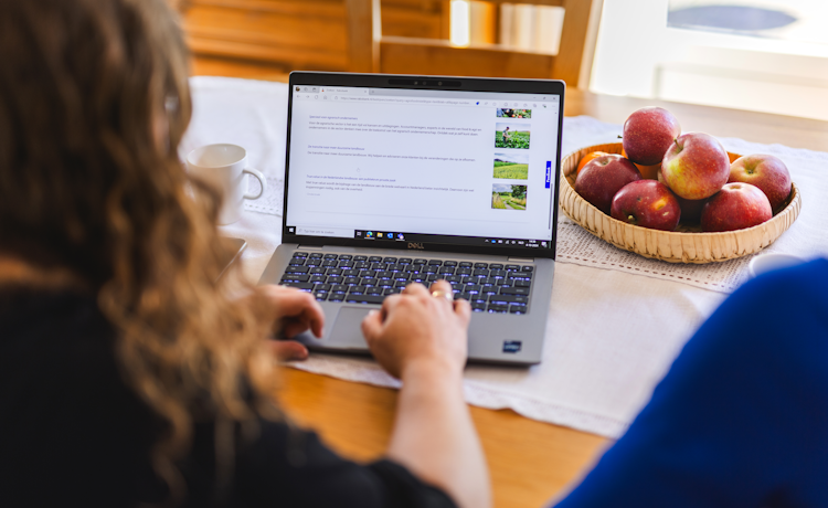 afbeelding vrouw met laptop en appels