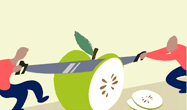 afbeelding Regie najaar 2022