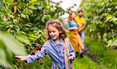 Afbeelding 2024 in beeld - Regie special